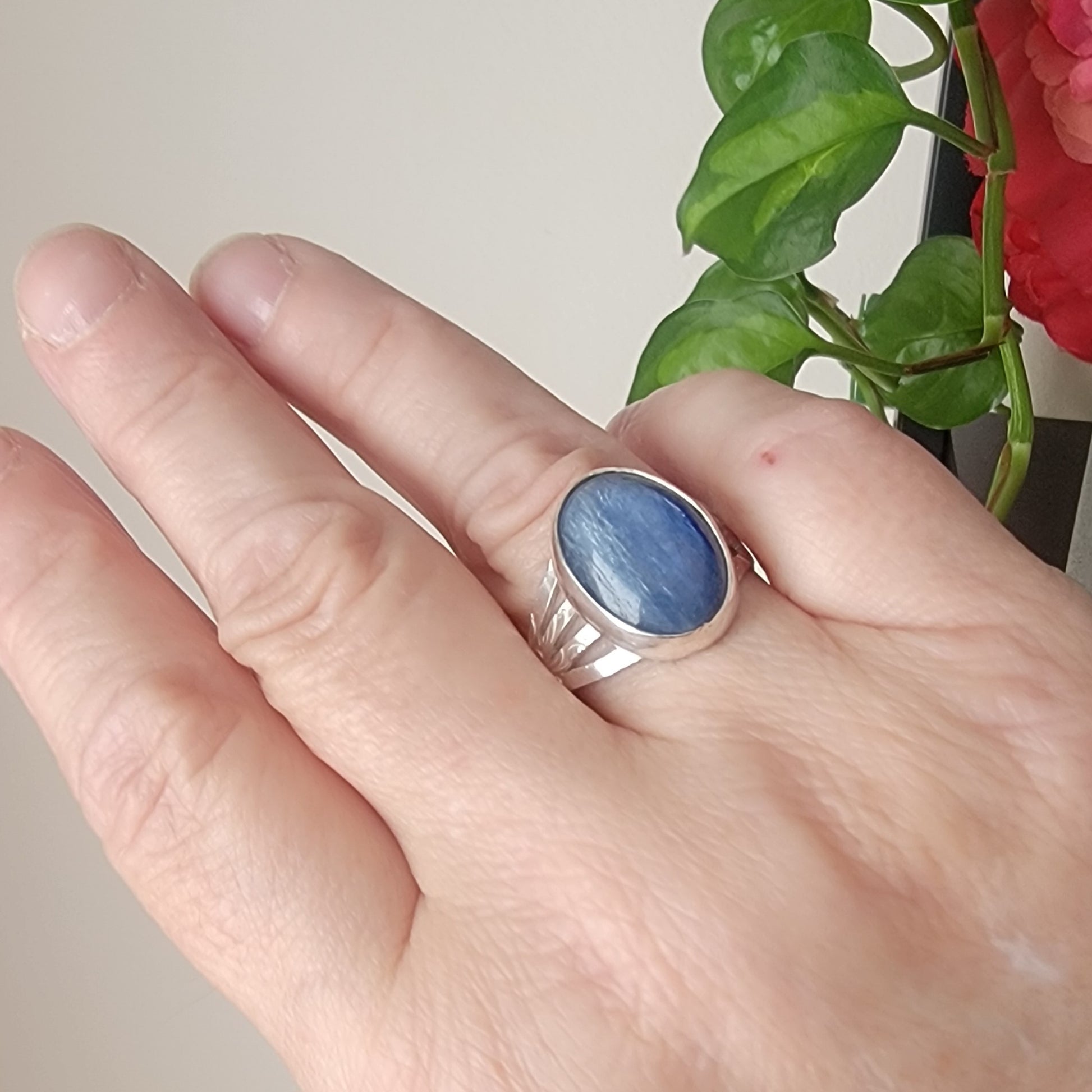 Hand wearing a blue stone ring with a plant in the background