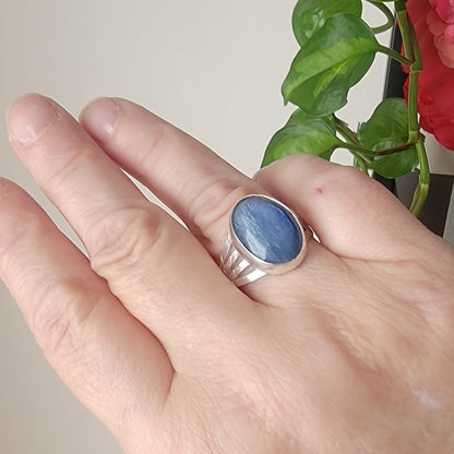 Hand wearing a blue stone ring with a plant in the background