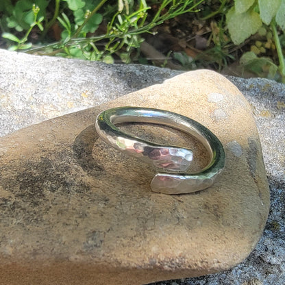 Silver ring on a rock with greenery in the background
