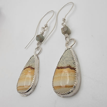 Pair of petrified wood teardrop shaped sterling silver earrings on white background