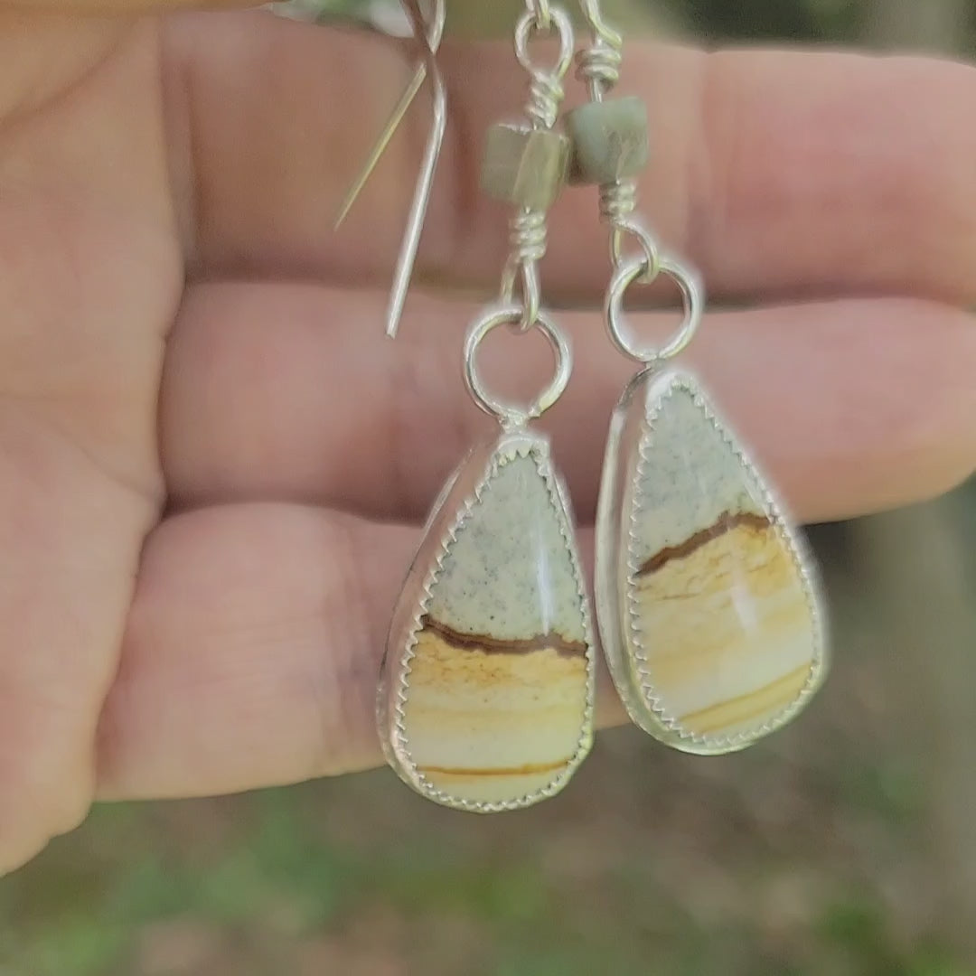 Video of petrified wood and sterling silver teardrop shaped dangle earrings being held in hand