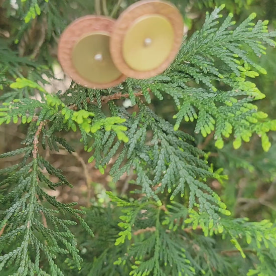 Brass and copper circular earrings on tree branch in outdoor setting