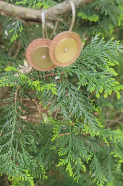 Brass and copper circular earrings on tree branch in outdoor setting